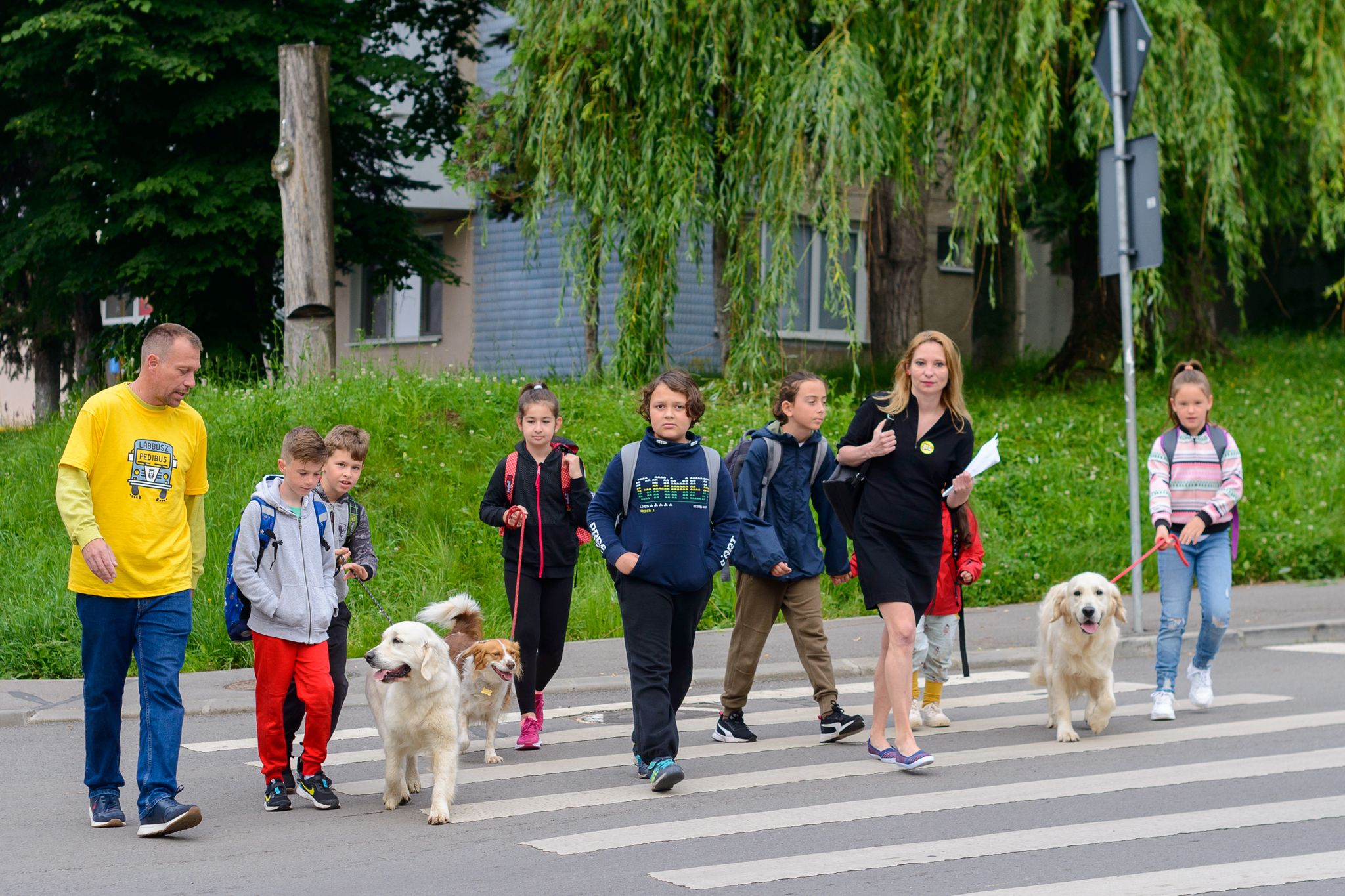 Un nou traseu a fost adăugat la programul Pedibus
