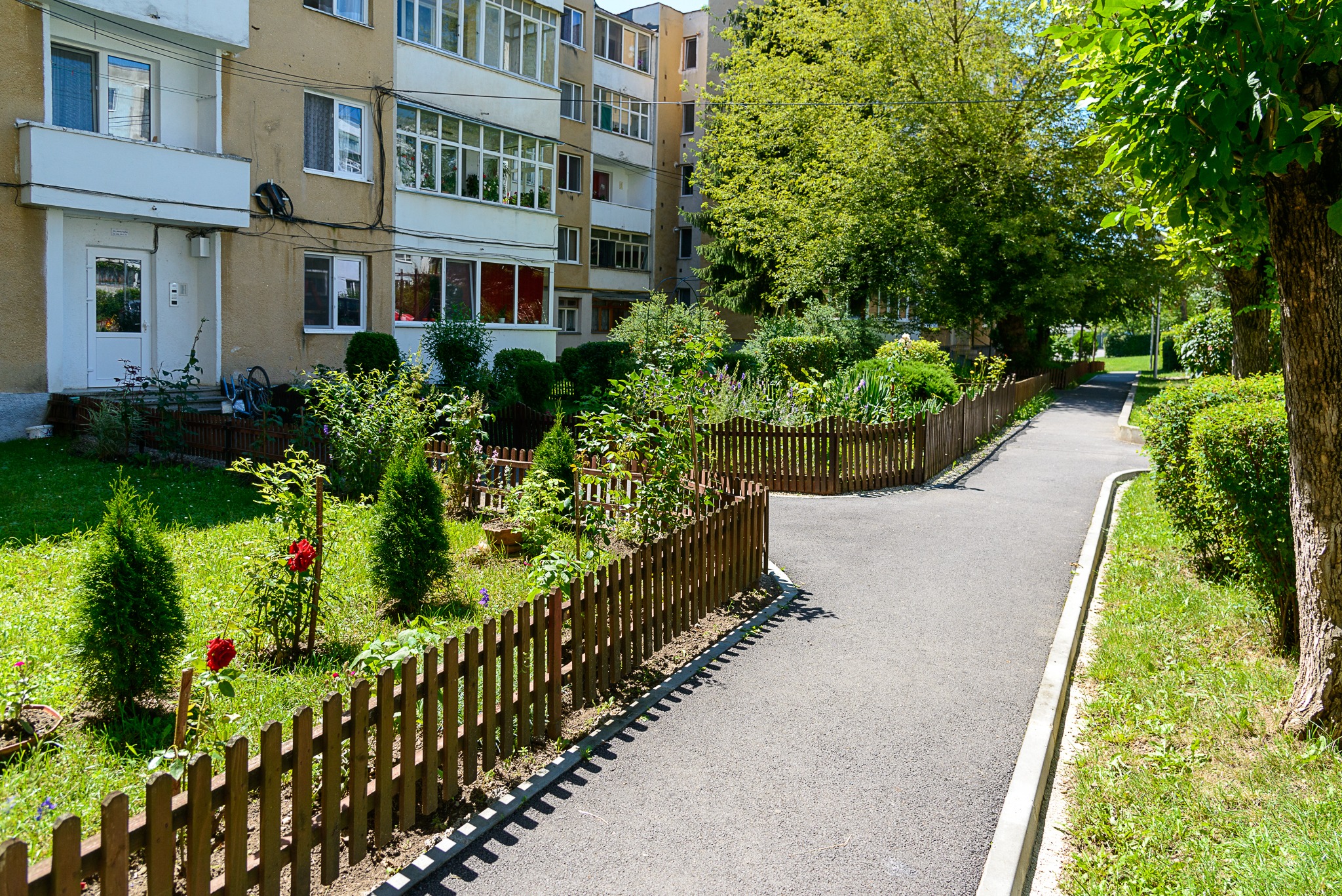 Aproape 80 de cereri depuse pentru înfrumuseţarea zonelor verzi din Sfântu Gheorghe