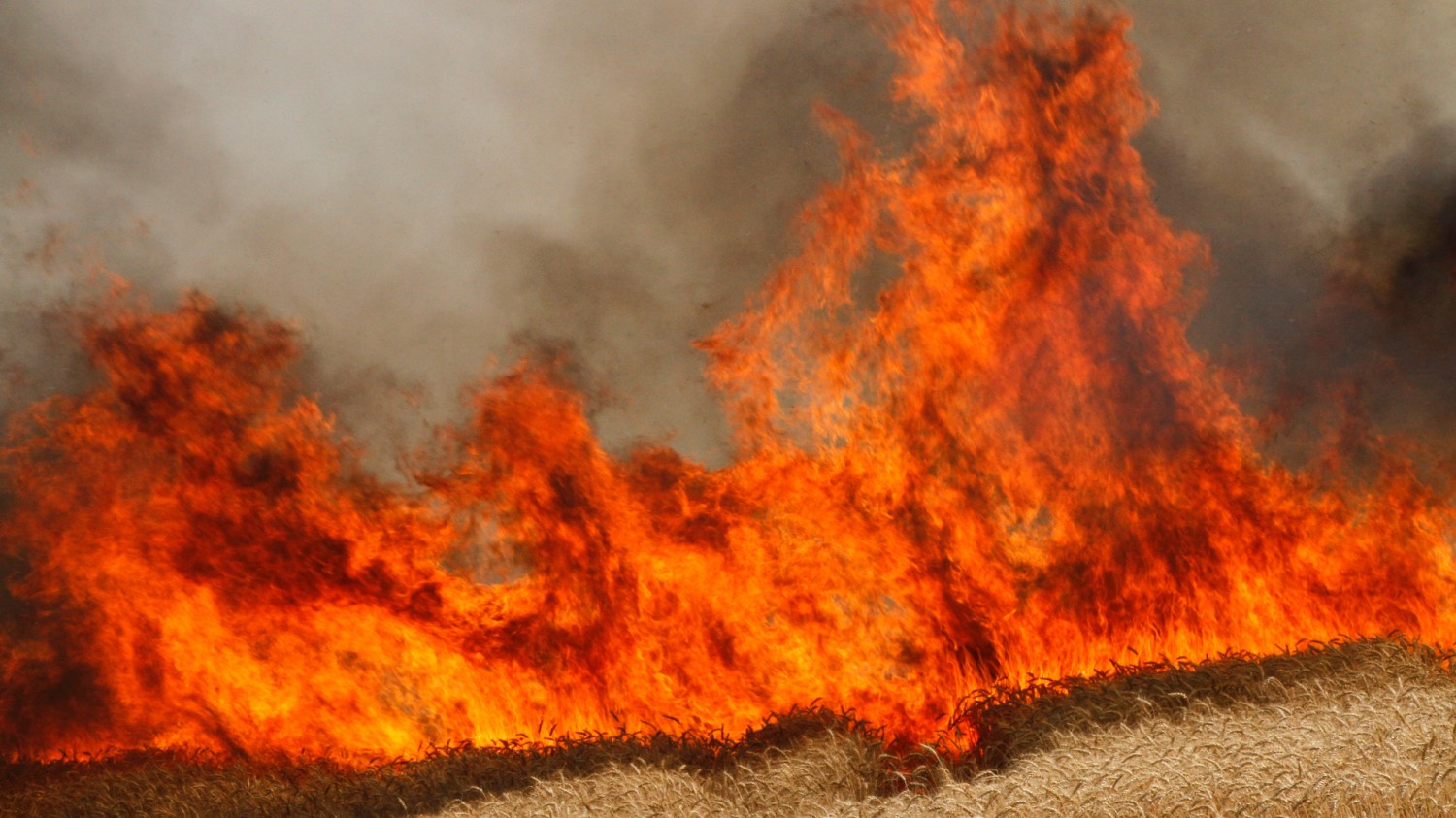 Reguli și măsuri de apărare împotriva incendiilor la efectuarea lucrărilor agricole de vară 
