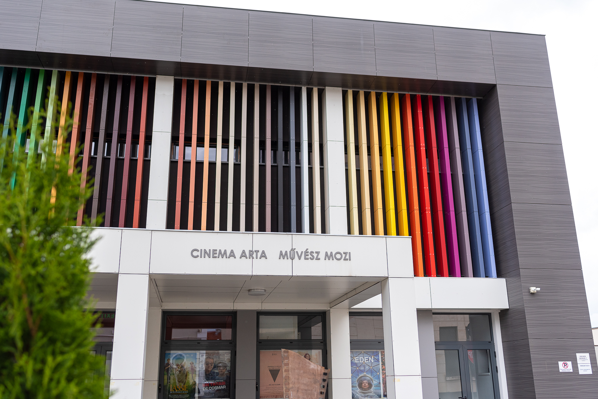 Proiecții festive la cea de-a șasea aniversare a Cinema Arta