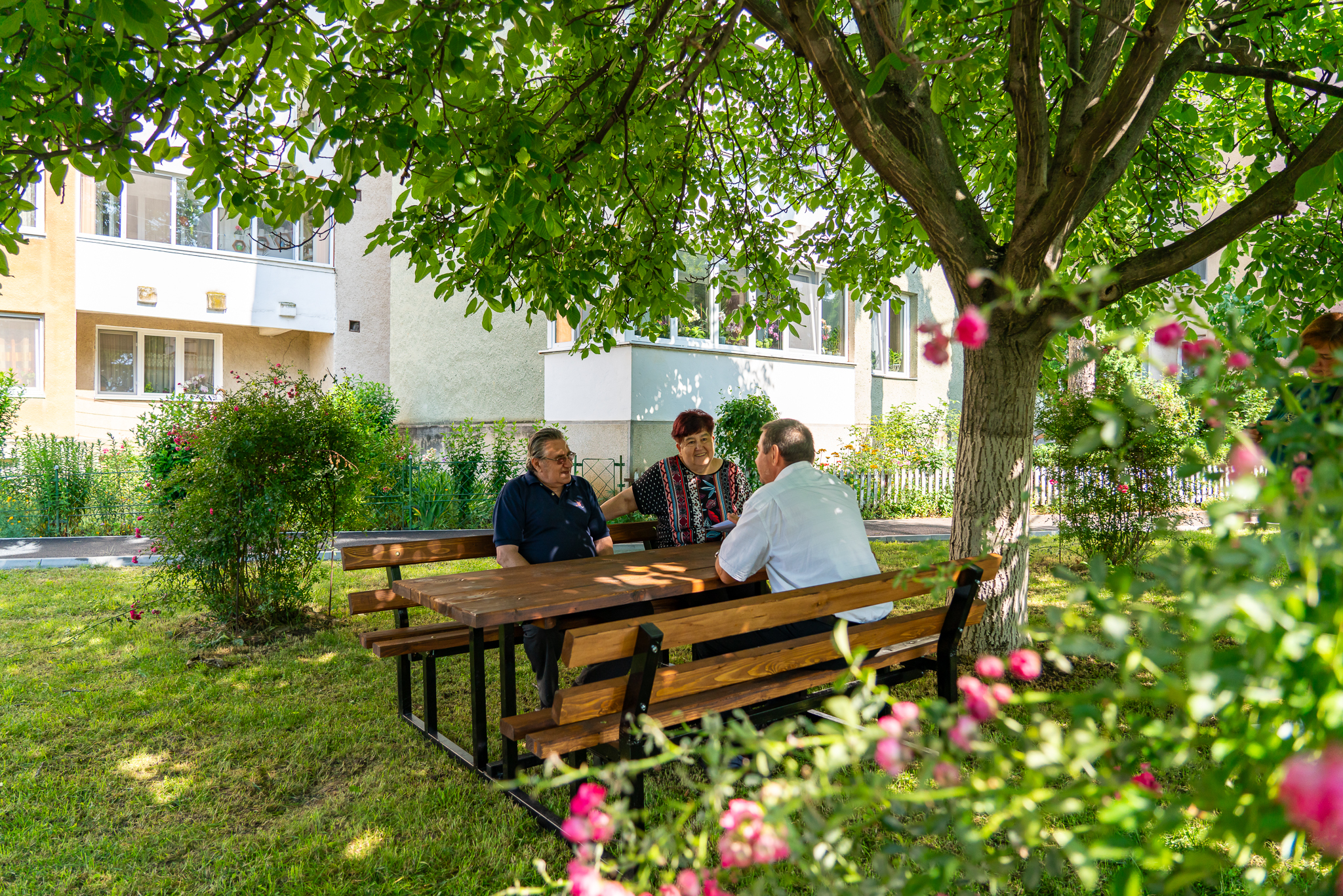 Au fost înmânate premiile pentru cele mai frumoase zone verzi rezidenţiale din oraş