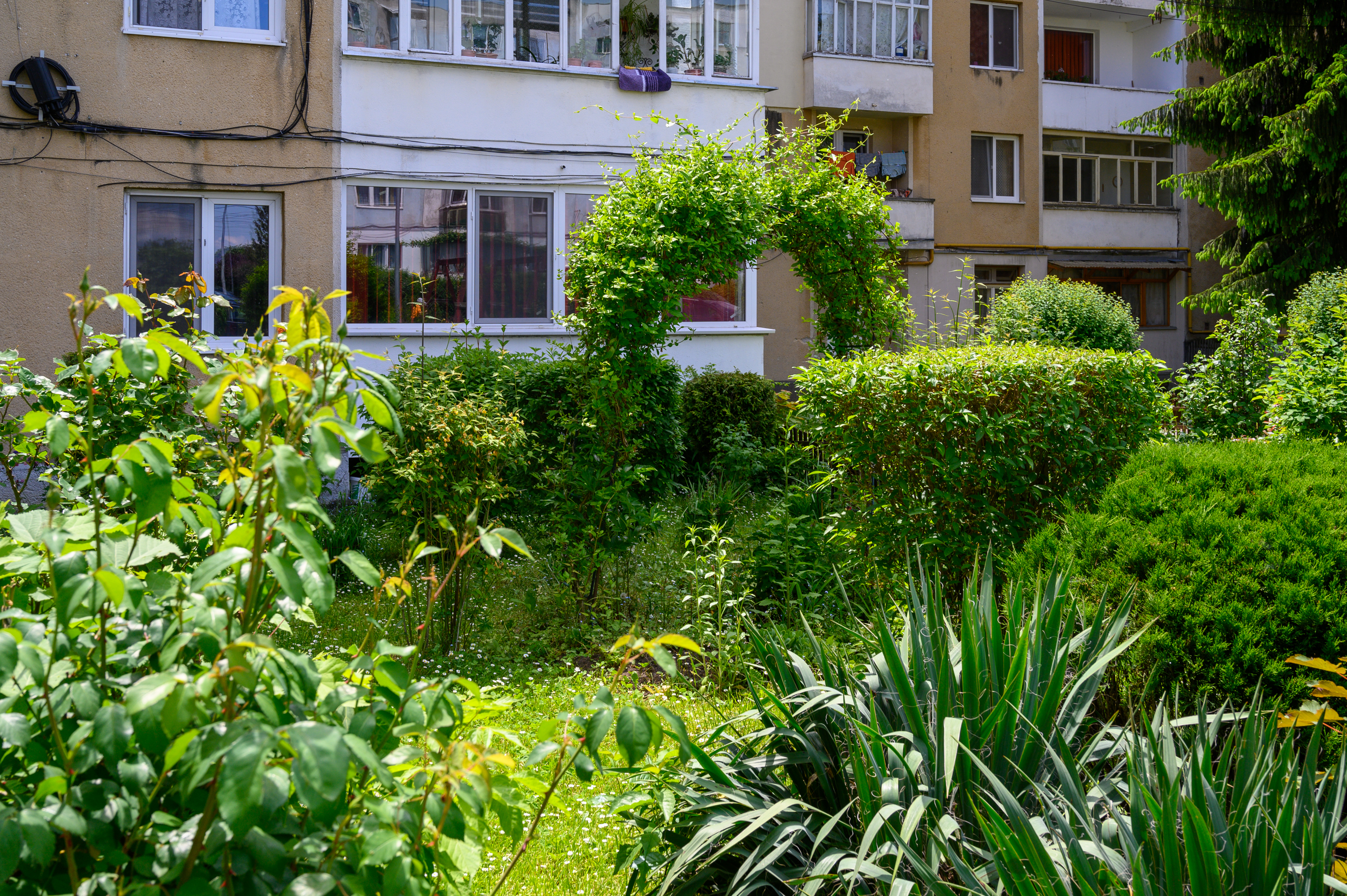 Asociațiile de proprietari din Sfântu Gheorghe se pot înscrie până la sfârșitul lunii aprilie în programul de înfrumusețare a spațiilor verzi