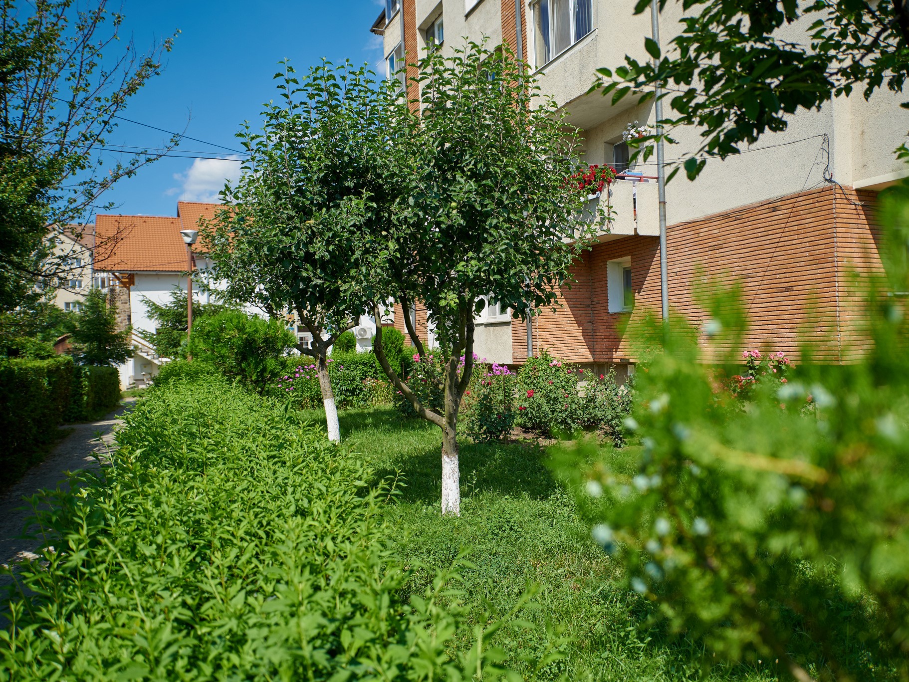 De 10 ani Primăria Sfântu Gheorghe sprijină înfrumusețarea zonelor verzi din jurul blocurilor